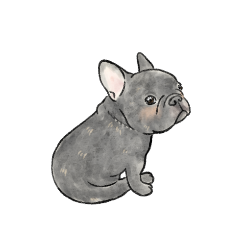ことちゃんのイラスト
